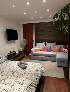 a bedroom with a bed and a flat screen tv at Prospect House in London