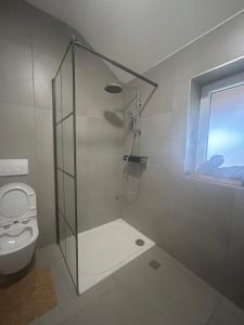 ザグレブにあるApartman Mirellaのバスルーム(シャワー、トイレ付)、窓が備わります。