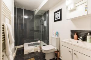 a bathroom with a shower and a toilet and a sink at No 31 Promenade APARTMENT by the sea in Aberystwyth