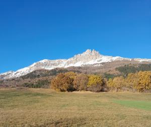 a mountain in the distance with a field and trees w obiekcie Le Piolit w mieście Prunières