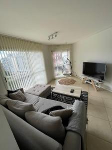 sala de estar con sofá y TV de pantalla plana en Art Plants Apartment en Mar del Plata