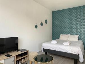 1 dormitorio pequeño con 1 cama y TV en COSY, en Clermont-Ferrand