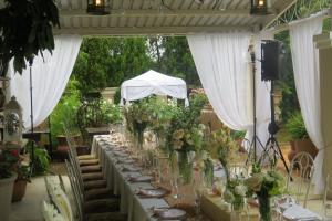 Κήπος έξω από το Marrakech Guest House +24 φωτογραφίες
