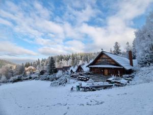 Hotel Karkonosze v zimě