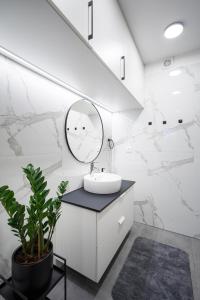 La salle de bains est pourvue d'un lavabo et d'un miroir. dans l'établissement Chalet - Apartmán Malinô HRABOVO, à Ružomberok