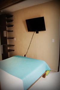 1 dormitorio con 1 cama y TV en la pared en Residencia San Pablo, en Querétaro
