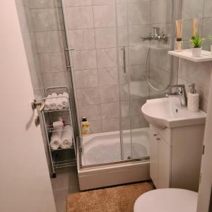 a bathroom with a shower and a toilet and a sink at CATALEYA in Zagreb +18 photos
