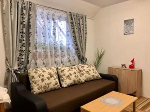 a living room with a couch and a window at Podul De Brazi - Fir Bridge in Cârțișoara