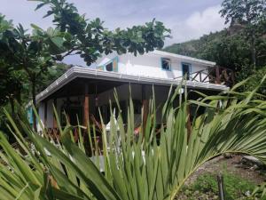 a white house in the middle of a garden at Mi Hermosa - Casa Isleña a 70 Metros de la Playa in Providencia