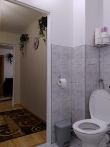 a bathroom with a toilet and a roll of toilet paper at Mieszkanie w Centrum Chełma in Chełm