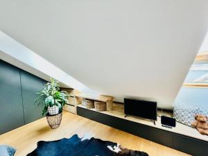 Televízia a/alebo spoločenská miestnosť v ubytovaní BL - The Penthouse, 24hr Self Check-in, 2 Bedrooms, Fireplace, AC, Panoramic View from main Balcony, 3-minute walk to City Center