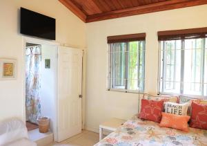 a living room with a couch and two windows at Coconut Palms Hideaway in Nassau