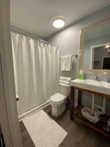 a bathroom with a shower and a toilet and a sink at The Jazz Loft in Sanford