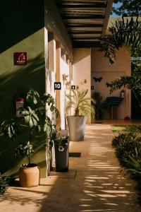 Zahrada ubytování Hostik Hostal