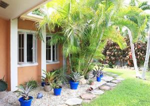 a garden with palm trees and plants in front of a house at Coconut Palms Hideaway in Nassau