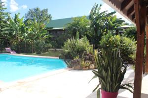 The swimming pool at or close to Gite bagatelle classé 2 étoiles
