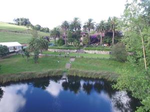 una vista aérea de un río con palmeras en Casona Dos Lagos, en Villanueva