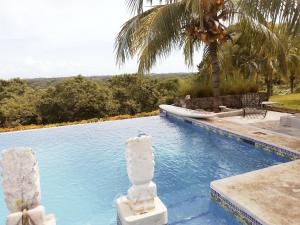 格拉納達的住宿－Finca Balcones de Granada，一座棕榈树环绕的游泳池