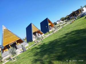 a group of houses on a hill with a green field at olive garden farm in Ulcinj