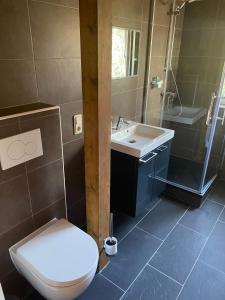 a bathroom with a toilet and a sink and a shower at Ferienwohnung Siegen Eiserfeld 2 in Siegen