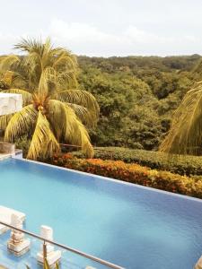 a swimming pool with a view of the jungle at Finca Balcones de Granada in Granada
