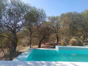 una piscina con árboles en el fondo en El Observador del Tiempo en San Javier