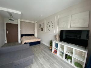 uma sala de estar com uma televisão de ecrã plano e um sofá em Apartament City Centre 108 em Olsztyn