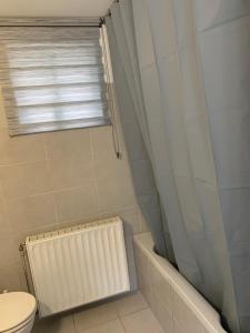 ein Bad mit einem weißen WC und einem Fenster in der Unterkunft Cocon in Jumet