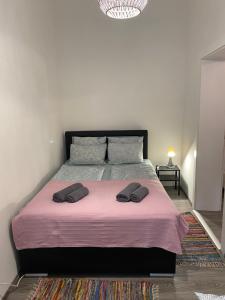 1 dormitorio con 1 cama grande y 2 almohadas en Nice apartment between Schönbrunn and Karlsplatz, en Viena