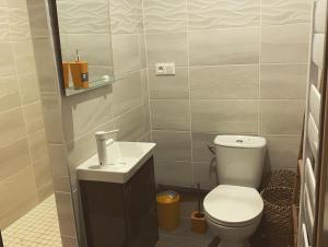 La petite salle de bains est pourvue de toilettes et d'un lavabo. dans l'établissement LA DI MARIA, à Narbonne