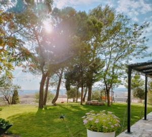 Táj Show holiday homes közelében
