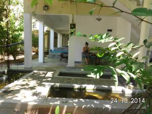 Vrt pred nastanitvijo Silva Rest