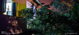 Fotografie z fotogalerie ubytování Aconchego Girassol v destinaci Paraty