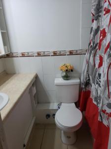 uma casa de banho com um WC e uma cortina de chuveiro em Departamento Tome em Tomé