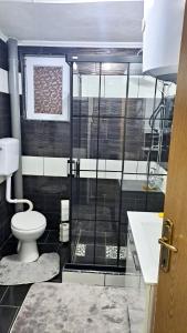 帕萊的住宿－Apartment Studenac，一间带卫生间和玻璃淋浴间的浴室