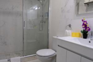 a bathroom with a shower and a toilet and a sink at Almada Downtown 302 in Porto