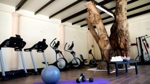 Fitness centrum a/nebo fitness zařízení v ubytování Hotel Real Home