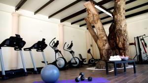 a gym with exercise bikes and a tree at Hotel Real Home in Tula de Allende