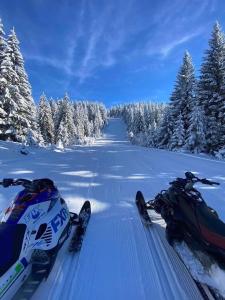 Alpin Apartments Vlašić durante el invierno