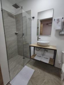 a bathroom with a sink and a glass shower at CoLinkHouse Hotel in Medellín