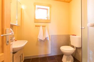 Kúpeľňa v ubytovaní Holiday house with a parking space Ravna Gora, Gorski kotar - 20300 + 10 fotografií