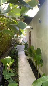 a hallway with a bunch of green plants at La Jempana Kintamani in Kintamani