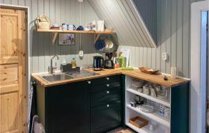 Η κουζίνα ή μικρή κουζίνα στο Gorgeous Home In Hok With Wifi