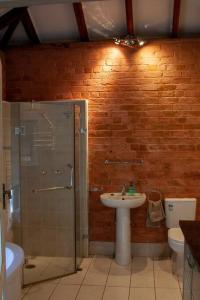 a bathroom with a shower and a sink and a toilet at 1885 Warehouse Apartment in Tumbarumba