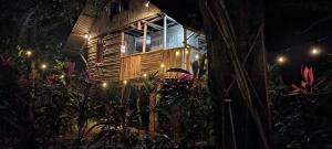 una casa en el árbol por la noche con luces encendidas en BAMBU HOSTEL, en David