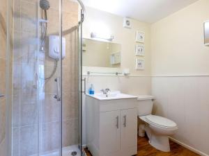 a bathroom with a shower and a toilet and a sink at Estuary House Flat 3 in Salcombe