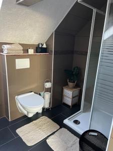 a small bathroom with a toilet and a shower at 5Minuten von der City entfernte Wohnung mit Parkpl in Bielefeld