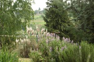 A garden outside Agriturismo Le Spezie