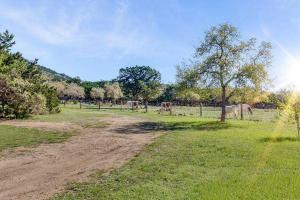 una strada sterrata in un campo con mucche in lontananza di Last Outpost - Sophie's Cottage a Medina Altre 13 foto