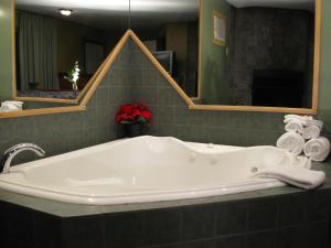 Motel Clair Mont tesisinde bir banyo